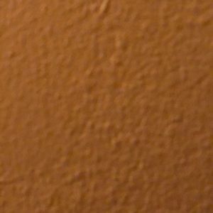 Meet your Posher, Ron